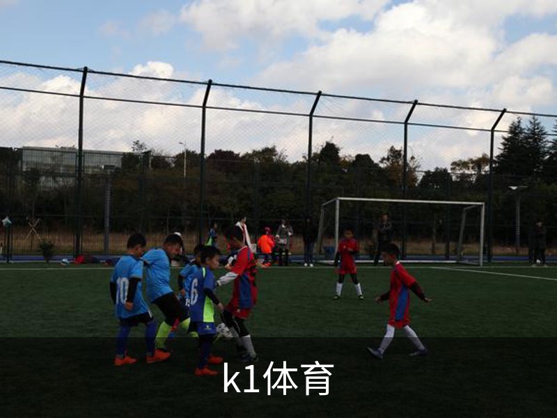 了解k1体育